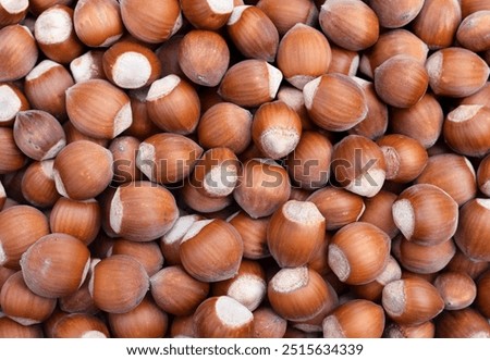 Similar – Image, Stock Photo Brown ripe hazelnut on spoon at table