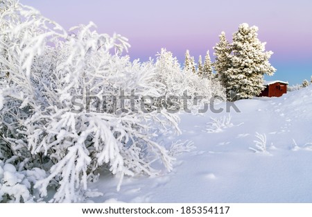 Arctic Winter Wonderland: Sunset at Kiruna near Abisko, Sweden\
Christmas / Winter / Holiday / Scandinavia / Sweden / Finland / Norway / Alaska / Canada Background
