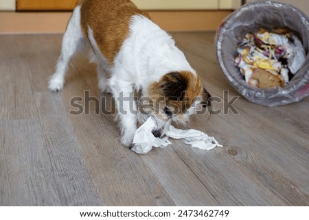 Similar – Image, Stock Photo The trash can Small Town