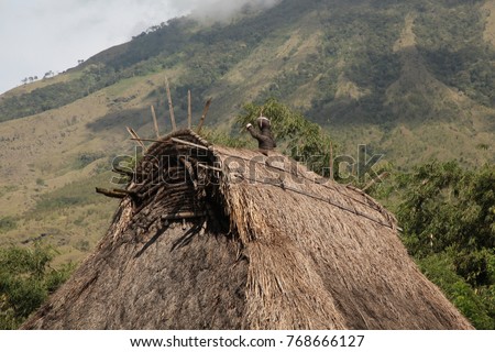 Similar – Foto Bild Dorfwiese Reetdach Wiese