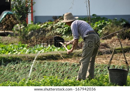 Pengzhou, Sichuan province, China  October 29, 2012:  Farmer hand watering newly planted crops from plastic buckets on his Sichuan province farm in Pengzhou, China.
