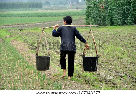 Pengzhou, Sichuan Province, China  October 9, 2012:  Barefoot woman walking across an earthen berm carrying two plastic buckets of water suspended from a shoulder yoke on her farm in Pengzhou, China.