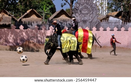 Hua Hin, Thailand - January 2, 2010:  Elephants with their trainers play basketball during the Hua Hin Elephant Village Show