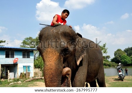 Ayutthaya, Thailand - December 22, 2010:   Young Thai boy riding atop an elephant eating corn cob at the Ayutthaya Elephant Royal Palace & Kraal