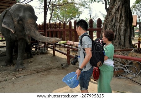 Ayutthaya, Thailand - December 22, 2010:  Visitors to the Ayutthaya Elephant Royal Palace & Kraal  Reserve feed cucumbers to a large female elephant