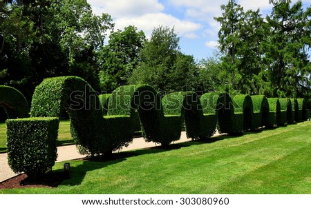 Portsmouth, Rhode Island - July 16, 2015:  Unique clipped privet topiary arched hedge at Green Animals Topiary Gardens