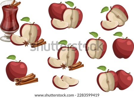 Vector set of red apples, cut still life collection, whole and sliced natural apples with green leaves and stems isolated on white background. Cartoon style.eps 10