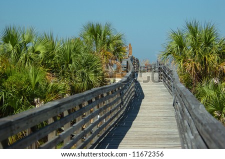 Beautiful wooden way with palm trees to a nature park caladesi island in florida on a blue sky