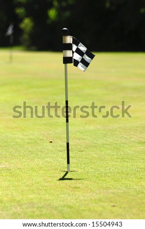 Golf flag on the green court as a vertical image