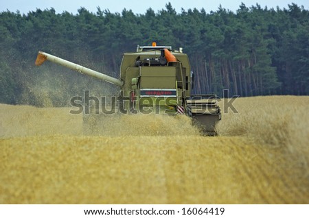 Corn earning time  in summer with combine harvester