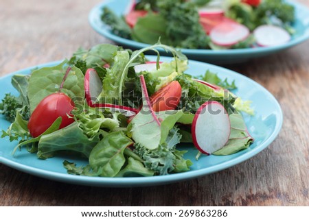 Freshly prepared green salad with sliced radish and cherry tomatoes.