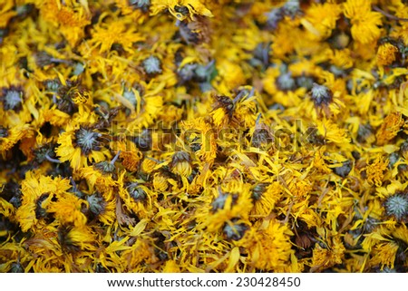 Dried chrysanthemum close-up, various medicinal herbs of traditional oriental medicine