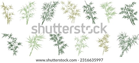 Set bamboo Collection vector for design background