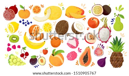 Set of colorful hand draw fruits - tropical sweet fruits, and citrus fruit illustration. Apple, pear, orange, banana, papaya, dragon fruit, lichee and other. Vector colored sketch isolated