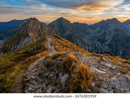 Similar – Image, Stock Photo Hiking trail in the Lüneburg Heath, Lower Saxony, Germany