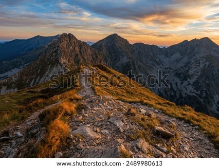 Image, Stock Photo Hiking trail in the Lüneburg Heath, Lower Saxony, Germany