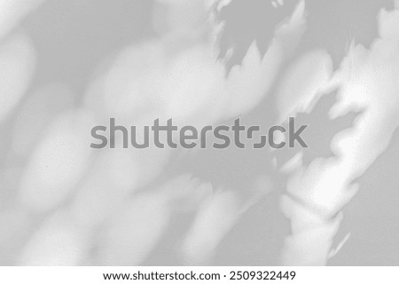 Similar – Image, Stock Photo Trees are reflected in a smooth surface of water