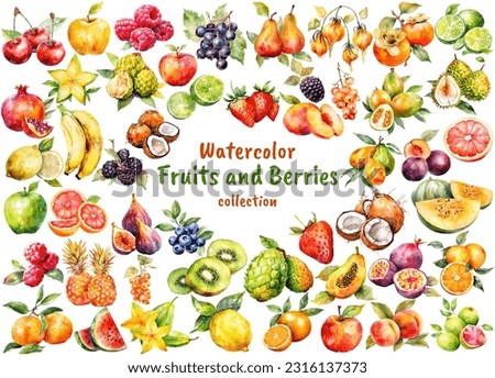Watercolor Fruits and Berries collection. Hand-drawn fresh food design elements isolated on a white background