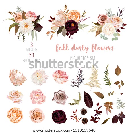 Dusty orange and creamy antique rose, beige and pale flowers, fern, creamy dahlia, ranunculus, protea, fall leaves big vector collection. Floral pastel watercolor style bouquets. Isolated and editable