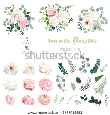 Similar – Image, Stock Photo Bunch of Peony Style Tulip