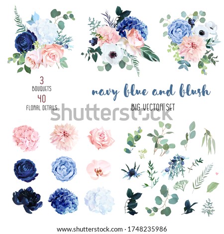 Classic navy blue, white, blush pink rose, hydrangea, ranunculus, orchid, dahlia, anemone, peony, thistle flowers, greenery and eucalyptus big vector set.Trendy color collection. Isolated and editable