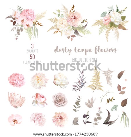 Dusty pink and ivory beige rose, pale hydrangea, peony flower, fern, dahlia, ranunculus, protea, fall leaf big vector collection. Floral pastel watercolor style wedding  bouquet. Isolated and editable