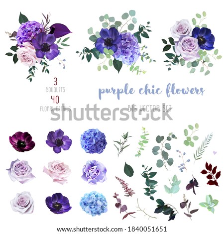 Violet, purple and burgundy anemone, dusty mauve and lilac rose, hydrangea, astilbe,eucalyptus big vector design set. Stylish fall wedding bunch of flowers.Elements are isolated and editable