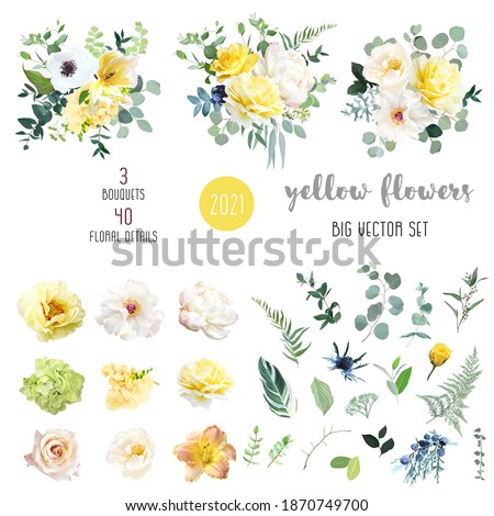 Yellow rose, hydrangea, white peony, lily, anemone, spring garden flowers, eucalyptus, greenery, fern, vector design big set. Wedding summer bouquet collection. Elements are isolated and editable