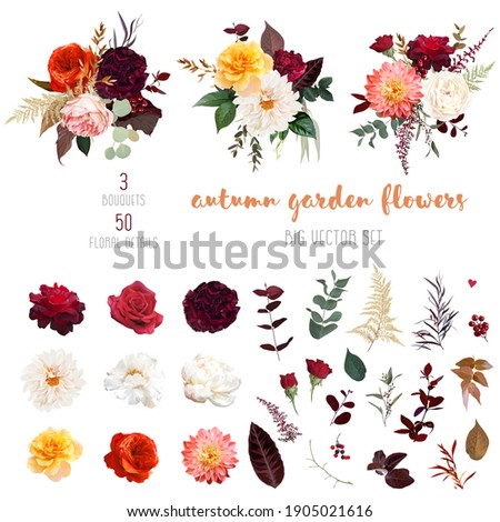 Similar – Image, Stock Photo Orange and Pink flowers in garden