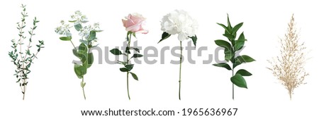 Mix of herbs and plants vector big collection. Cute rustic wedding greenery. Parvifolia, white hydrangea, dusty pink rose flower and stems. Watercolor style set. Elements are isolated and editable ストックフォト © 