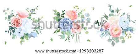 Image, Stock Photo Bunch of colorful hydrangeas