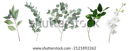 Mix of herbs and plants vector big collection. Cute rustic wedding greenery. Eucalyptus, cornus alba, white orchid, salal leaves and stems. Watercolor style set. Elements are isolated and editable