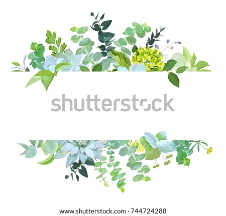 Horizontal botanical vector design banner. Baby blue eucalyptus, succulents,green hydrangea, wildflowers, various plants, leaves and herbs.Natural card or frame. All elements are isolated and editable