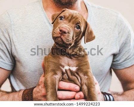 Image, Stock Photo Young guy and purebred dog embracing each other on street