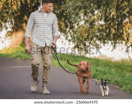 Similar – Image, Stock Photo Two dogs | Against all odds | Ploughing through the sea | The goal in sight