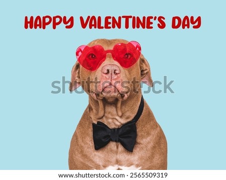 Similar – Image, Stock Photo valentines day. happy family, mom, dad and little daughter in white t-shirts holding hand made red hearts in their hands looking at the camera on white background. happiness, health and love concept