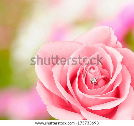 A diamond engagement ring in the petals of a pink-colored rose.