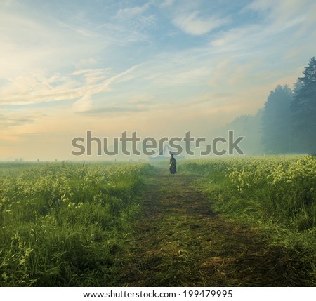 Person walking by path at Dreamy landscape