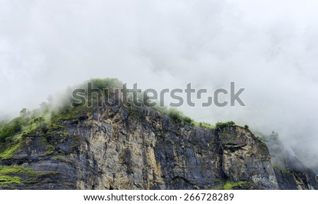 Trees among clouds on top of rock wall alpine summer landscape