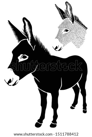 Donkey. Isolated on white background. Head of agricultural animal. Front view picture. Illustrations of cute farm animal. Abstract drawing of animal of livestock. Logo. Icon. Sketch. Sticker. - Vector