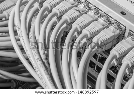network cables connected to switch - closeup of data center hardware
