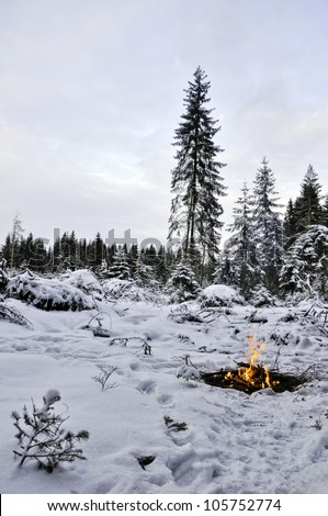 Twilight in the forest. Snow around and only bonfire lets survive tough time.