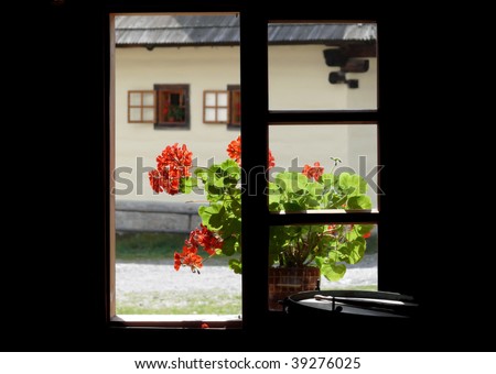 Red geranium flowers in the window. Slovakia village. Europe
