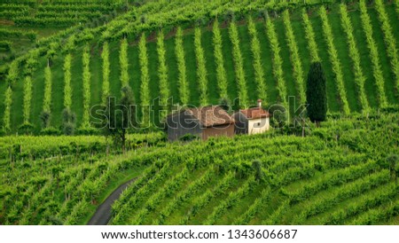 View from the Prosecco wine hill - Conegliano Valdobbiadene Zdjęcia stock © 