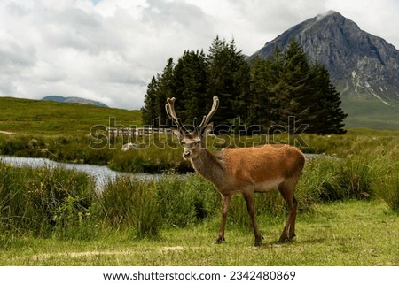 Image, Stock Photo Glencoe valley in the scottish highlands.