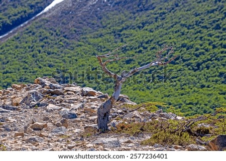 Similar – Image, Stock Photo An imposing landscape of rugged mountains and fields that extend to the horizon