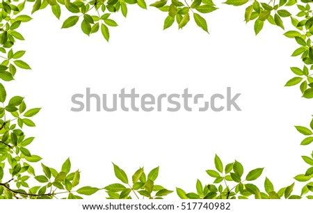 Tree Leaf Frame On White Background Stock Photo 517740982 : Shutterstock