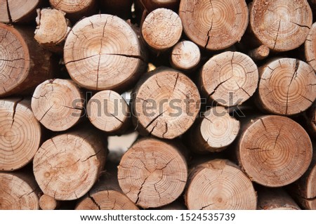 Texture Wood