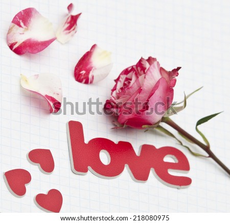 red-white rose and scattered flower petals and the word love on a rustic background