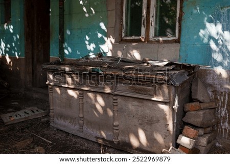 Similar – Image, Stock Photo Detail of an abandoned building in the middle of the Jungle